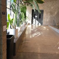  at Javista Coffee in Hollywood