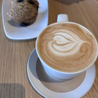   at Javista Coffee in Hollywood