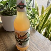 Vegan ‘Apfelschorle’ (apple juice and sparkling mineral water)  at Momos - Organic Veggie Dumplings in Berlin