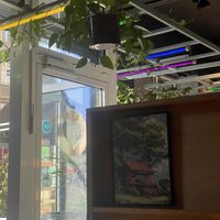   at Momos - Organic Veggie Dumplings in Berlin