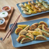 loads of dumplings! at Momos - Organic Veggie Dumplings in Berlin