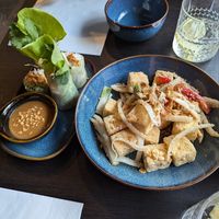 Vegan summer rolls (left) and salt and pepper tofu (right) at Pho 179 in Sunderland
