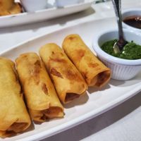Spring roll appetizer. at Royal Spice Indian Restaurant in Millville
