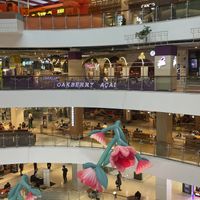   at Oakberry Acai in Bangkok