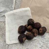 Soap nuts for laundry   at Trace - The Zero Waste Store in Vienna