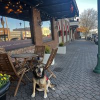 Outdoor seating- dog friendly  at Cafe Brûlée & Dessert Bar in Lagrange
