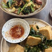 stir fried noodles with soy sauce and kale (back) and fried tofu appetizer with kaffir leaves and lime (front)   at PLANT Passion in Bangkok