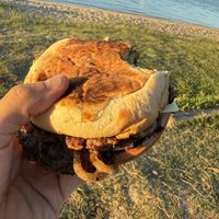  at Pearls Burgers - Noosa River in Noosaville