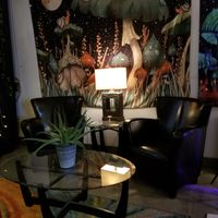 Chill space at Myco Cafe in Boulder