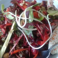 rasayana salad at Rasayana Raw Food Cafe in Bangkok