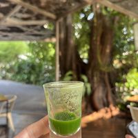 Whestgrass Shot  at Rasayana Raw Food Cafe in Bangkok