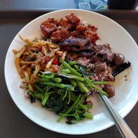 Favorites: beancurd and meat (careful, the meat can come with eggs) at Vegetarian - NUS Techno Edge Canteen in Central Singapore