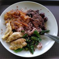 Favorites: meat and dumplings at Vegetarian - NUS Techno Edge Canteen in Central Singapore