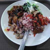 One of the best mixtures, meat, char siew, eggplants and greens at Vegetarian - NUS Techno Edge Canteen in Central Singapore