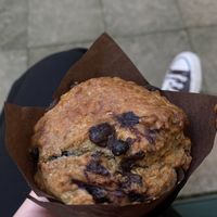 vegan yogurt muffin  at Strefa Studencka UJ Cafeteria in Krakow