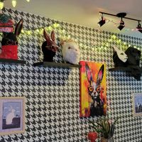  at Mad Rabbit Cafe in Madison