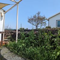 Eating area outside at You In One (Yuin-Won) - 유인원 in Jeju