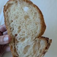 Sourdough bread. Excellent texture and chew. at Bbo Bbo Bakery - 빵집 보보 in Ulsan