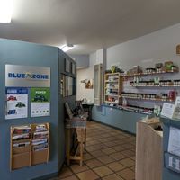 Inside at Blue Zone in Espanola