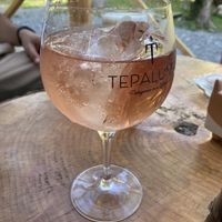Patagonia gin with ice from the glacier  at Ventisca Cerveceria Patagonica in Ohiggins