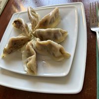 Dumplings  at Leaf Vegetarian in Rotterdam