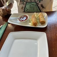 Loempia  at Leaf Vegetarian in Rotterdam