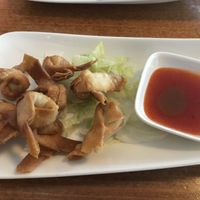 Indonesian pangsit  at Leaf Vegetarian in Rotterdam