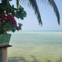  at Sunset Restaurant in Surat Thani