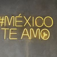   at Alguito Vegano in Mexico City