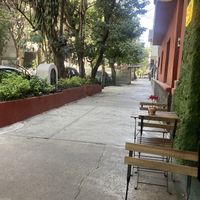 Sweet spot  at Alguito Vegano in Mexico City