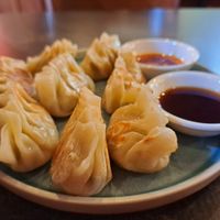 Pan-fried dumplings at September Vegan Food in Wellington