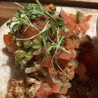 Roasted Cauliflower Taco at Paloma in Shaker Heights