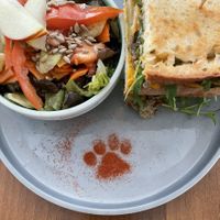 🐾🐱  at Katzentempel - München in Munich