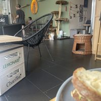   at Katzentempel - München in Munich