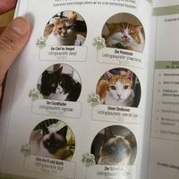   at Katzentempel - München in Munich