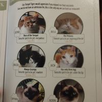  at Katzentempel - München in Munich