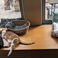  at Katzentempel - München in Munich