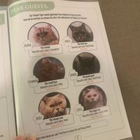  at Katzentempel - München in Munich