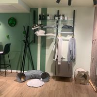  at Katzentempel - München in Munich