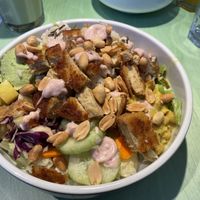 Panther bowl  at Katzentempel - München in Munich