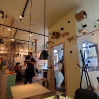 🥰 cats at Katzentempel - München in Munich