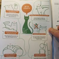  at Katzentempel - München in Munich