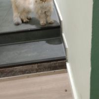 Resident at Katzentempel - München in Munich