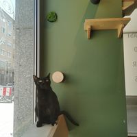  at Katzentempel - München in Munich