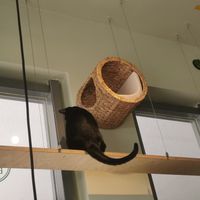  at Katzentempel - München in Munich