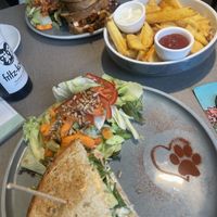   at Katzentempel - München in Munich