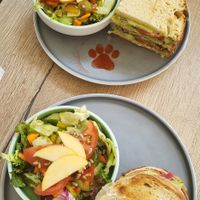  at Katzentempel - München in Munich