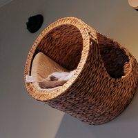  at Katzentempel - München in Munich