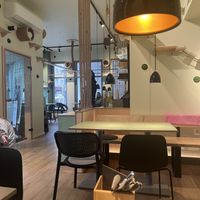 New interior  at Katzentempel - München in Munich