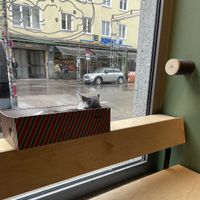 Cat  at Katzentempel - München in Munich